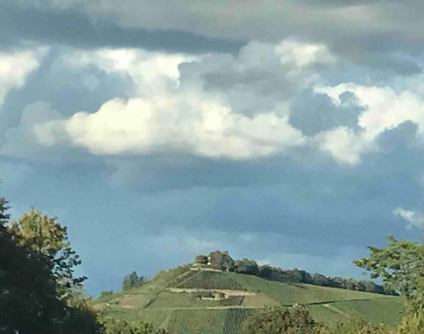 3 Zimmer Neubauwohnung In Der Schwaebischen Toskana Löwenstein Buitenkant foto